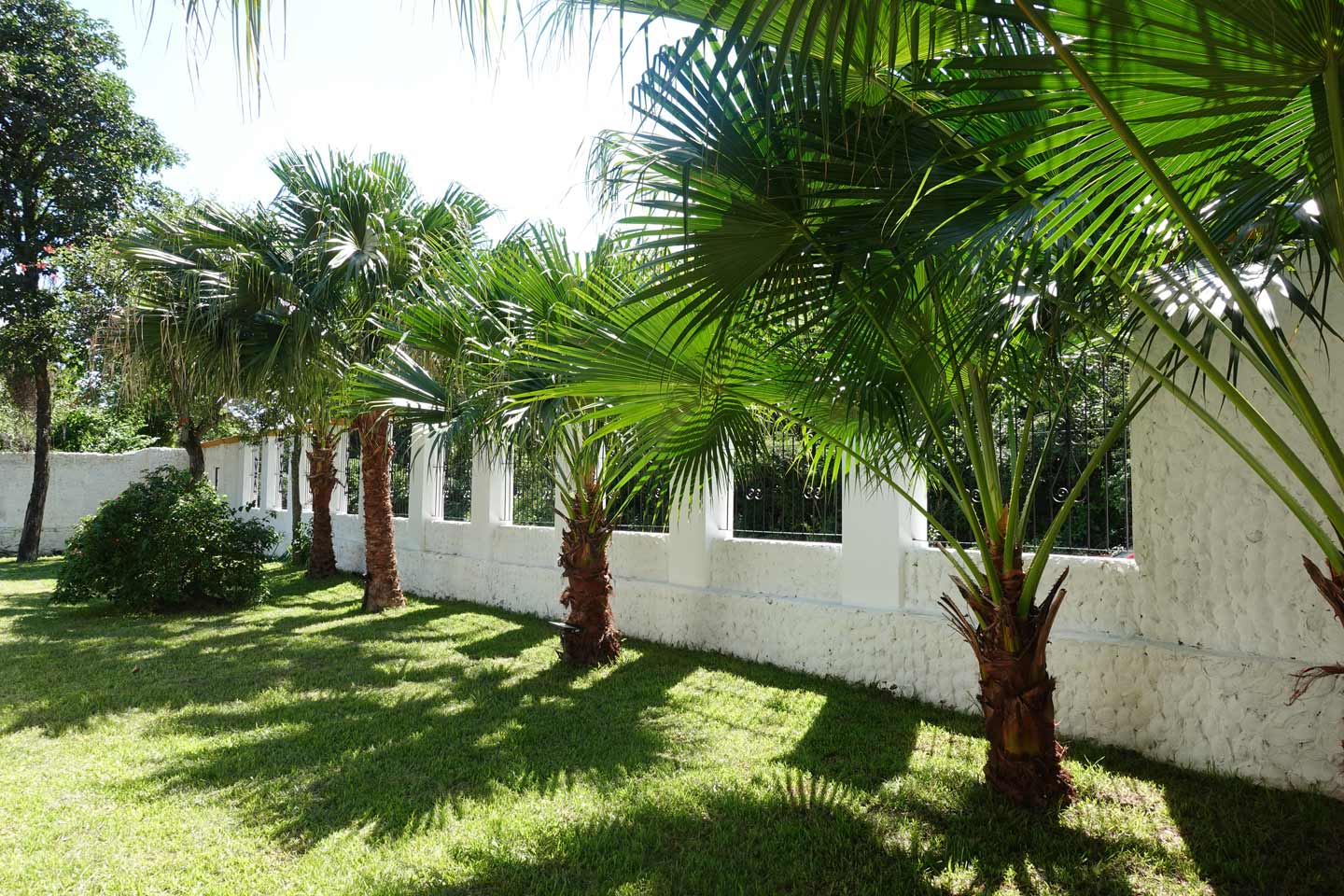 Haus-mieten-in-Paraguay (10) Haus-mieten-in-Paraguay