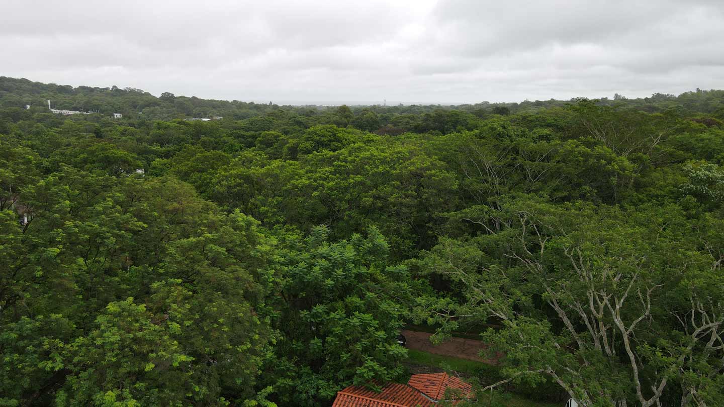 Haus-mieten-in-Paraguay-(18