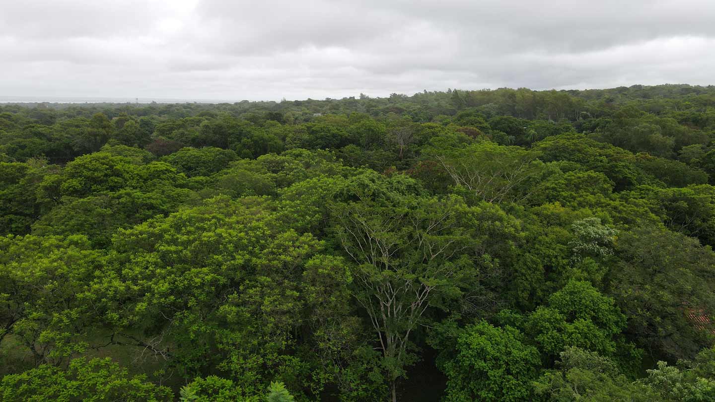 Haus-mieten-in-Paraguay-(19