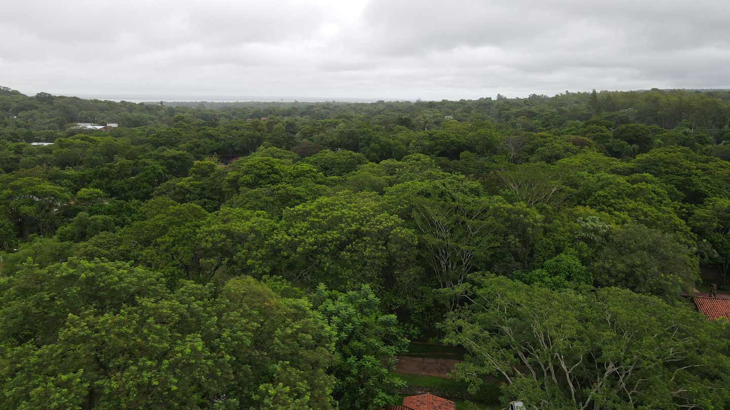 Haus-mieten-in-Paraguay-(20