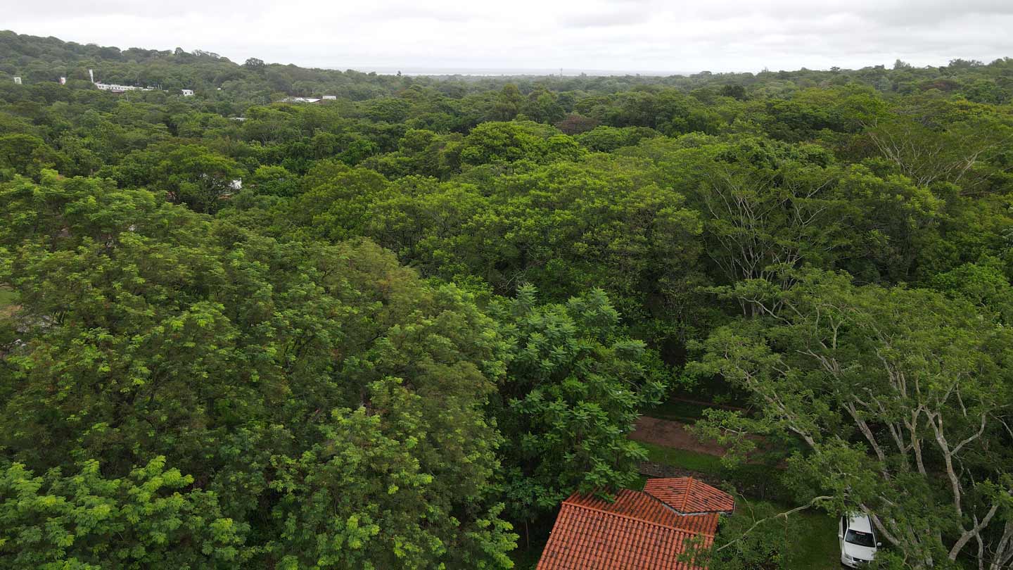 Haus-mieten-in-Paraguay