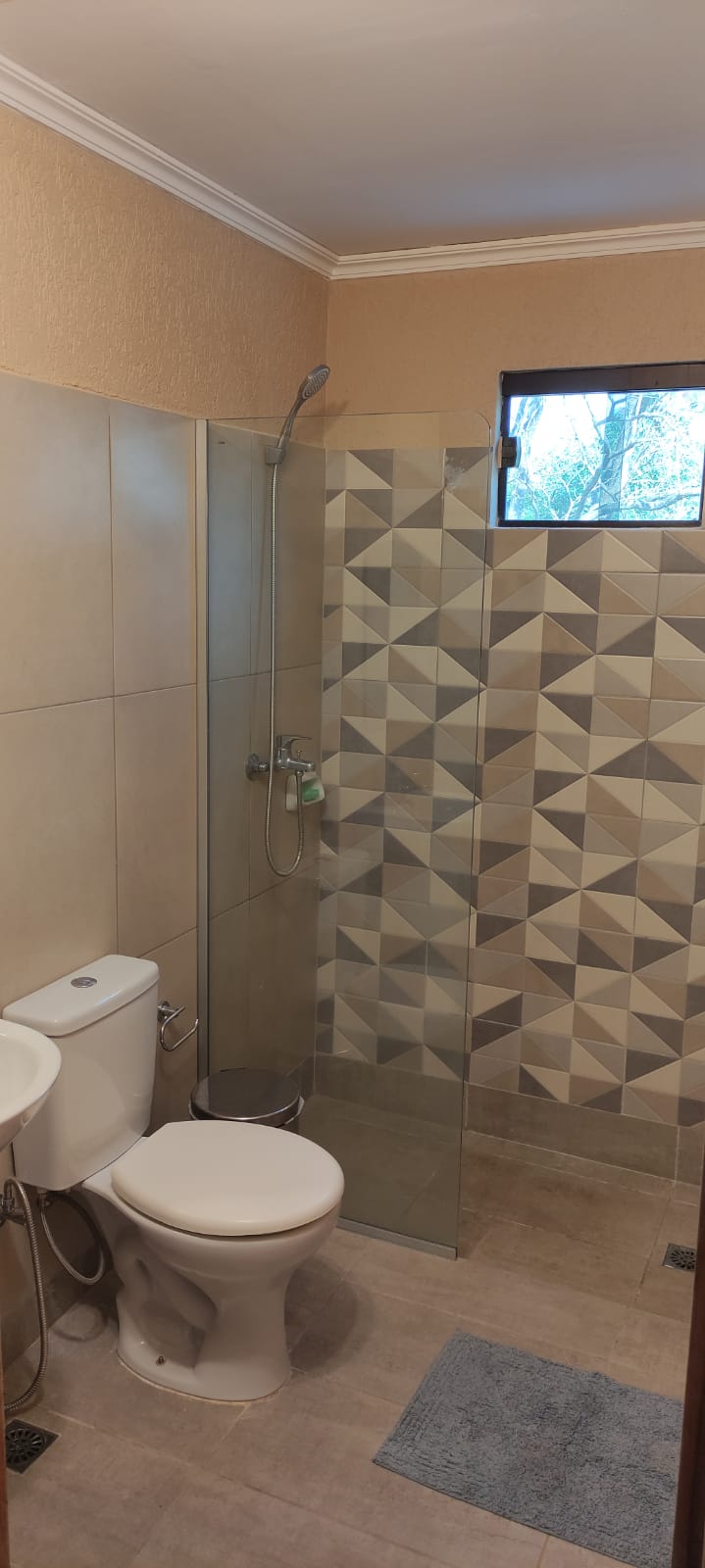 Alquilar una casa en Paraguay (5) Alquilar una casa en Paraguay