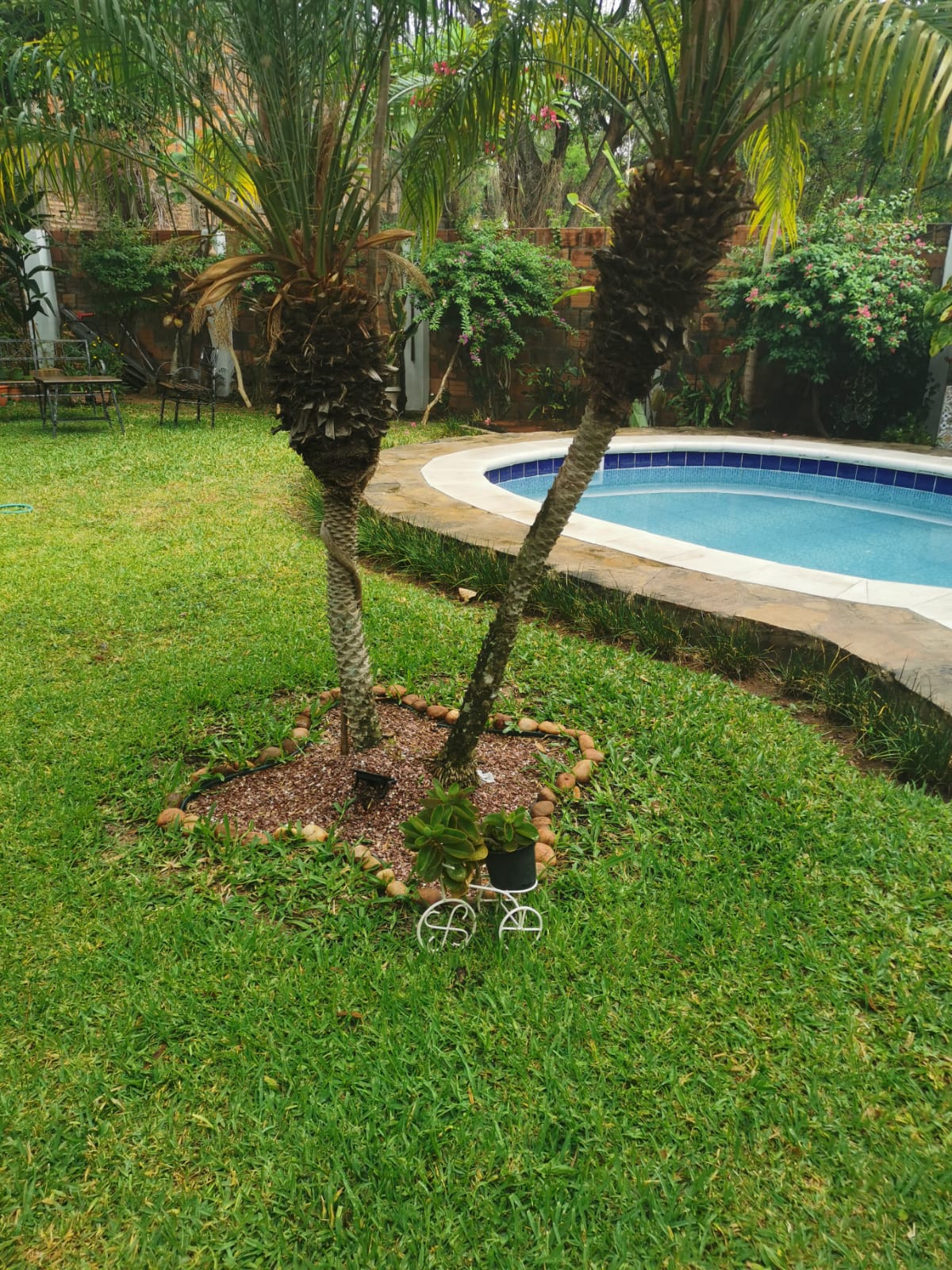 Propiedad en Paraguay Propiedad en Paraguay