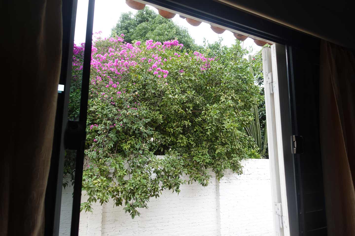 Propriedade no Paraguai-(5) Propriedade no Paraguai