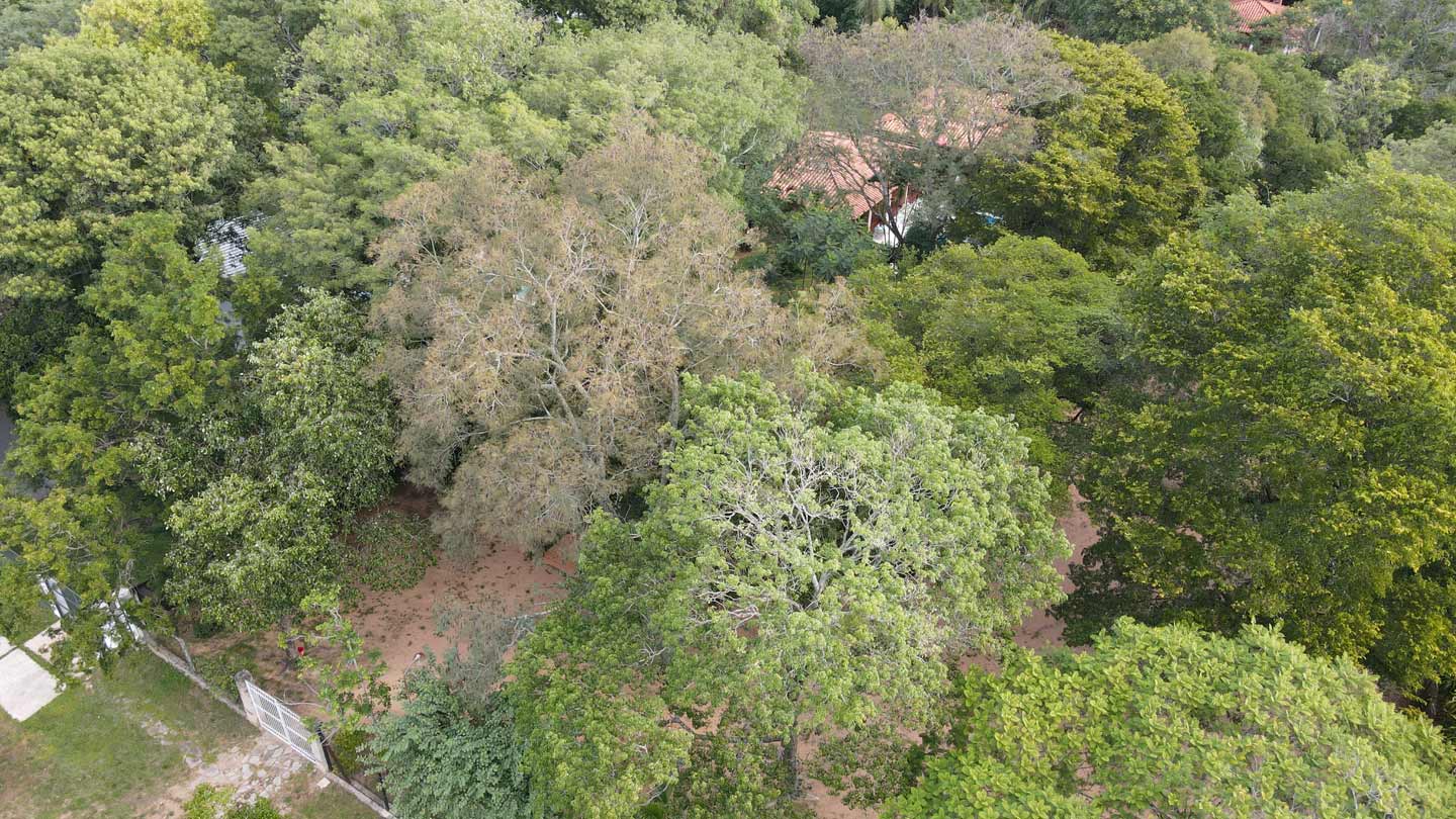 Haus-mieten-in-Paraguay-(3)