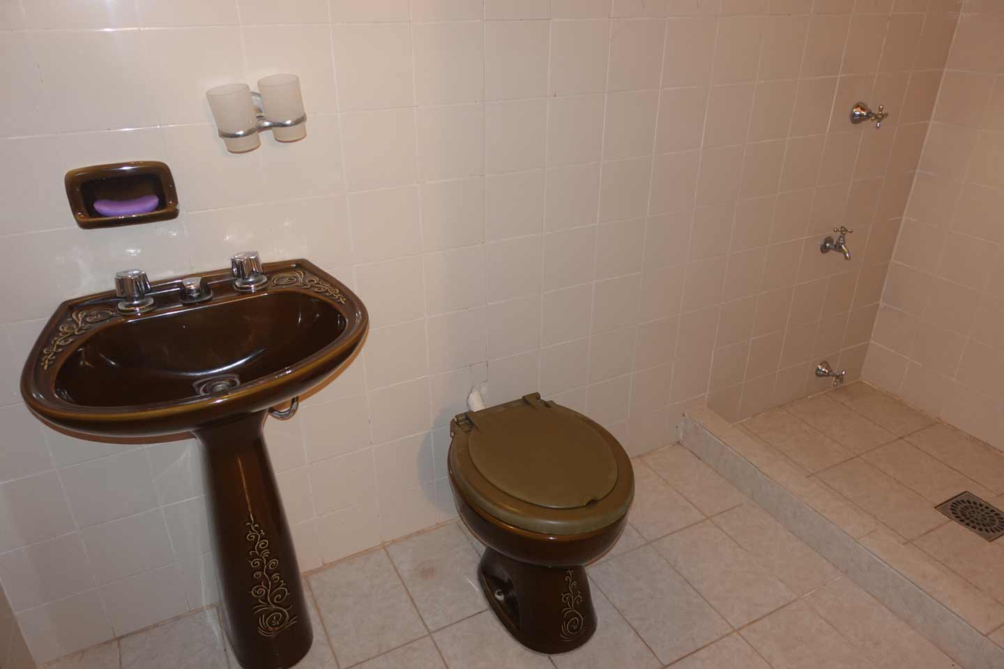 Haus-mieten-in-Paraguay-(38