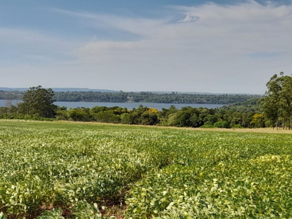 Comprar terra Paraguai 5 2