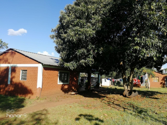 Comprar terras no Paraguai 1 4