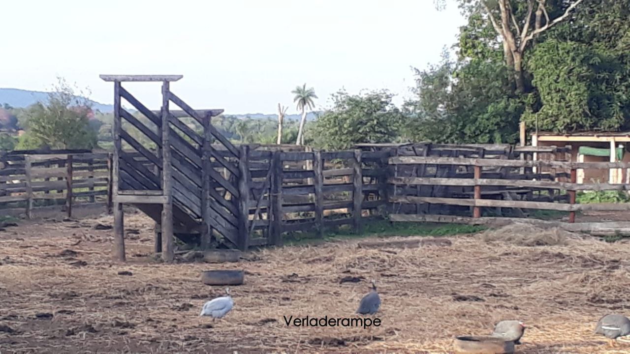 Grundstück kaufen in Paraguay (11)