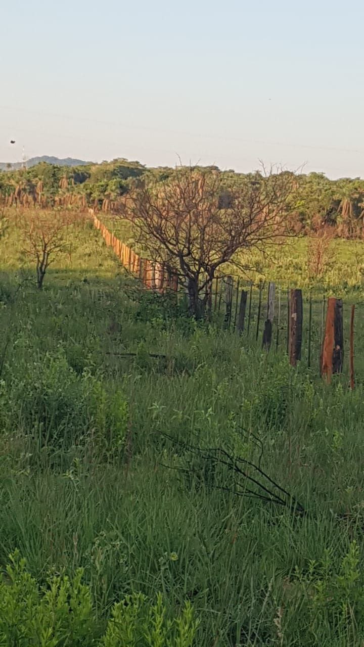 Grundstück kaufen in Paraguay (12)