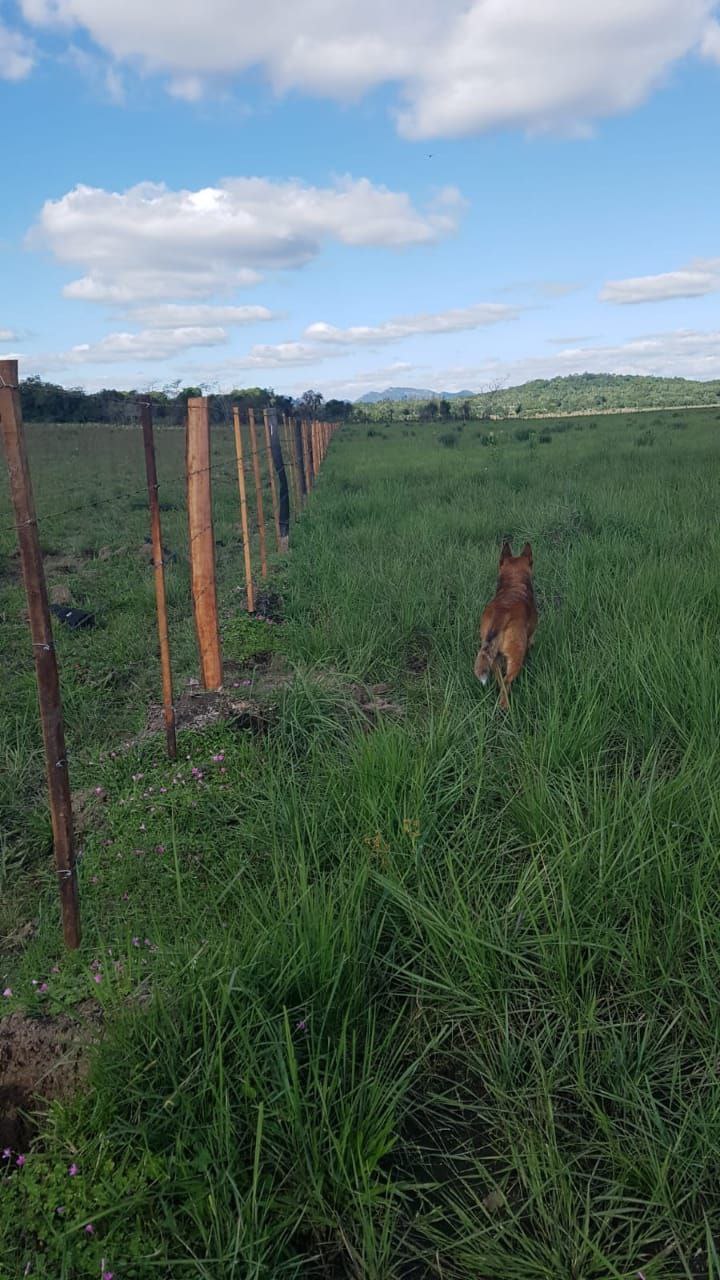 Grundstück kaufen in Paraguay (13)