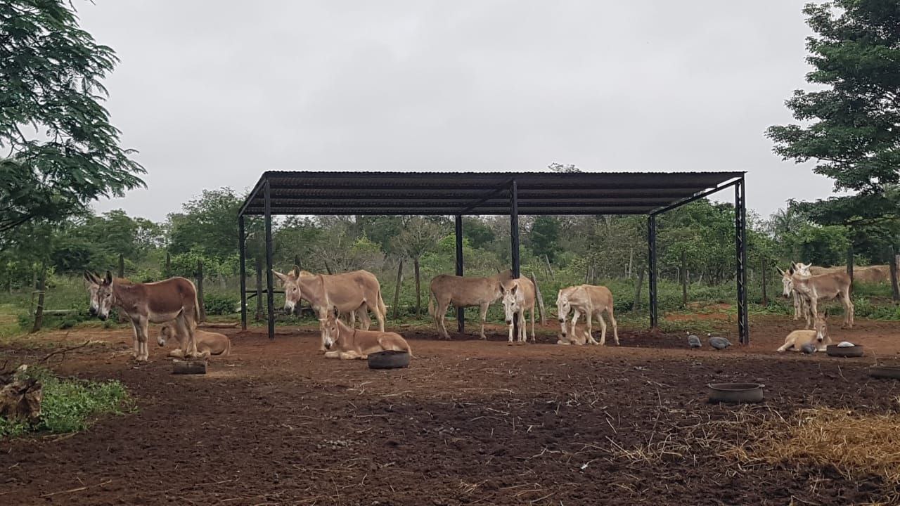 Grundstück kaufen in Paraguay (14)