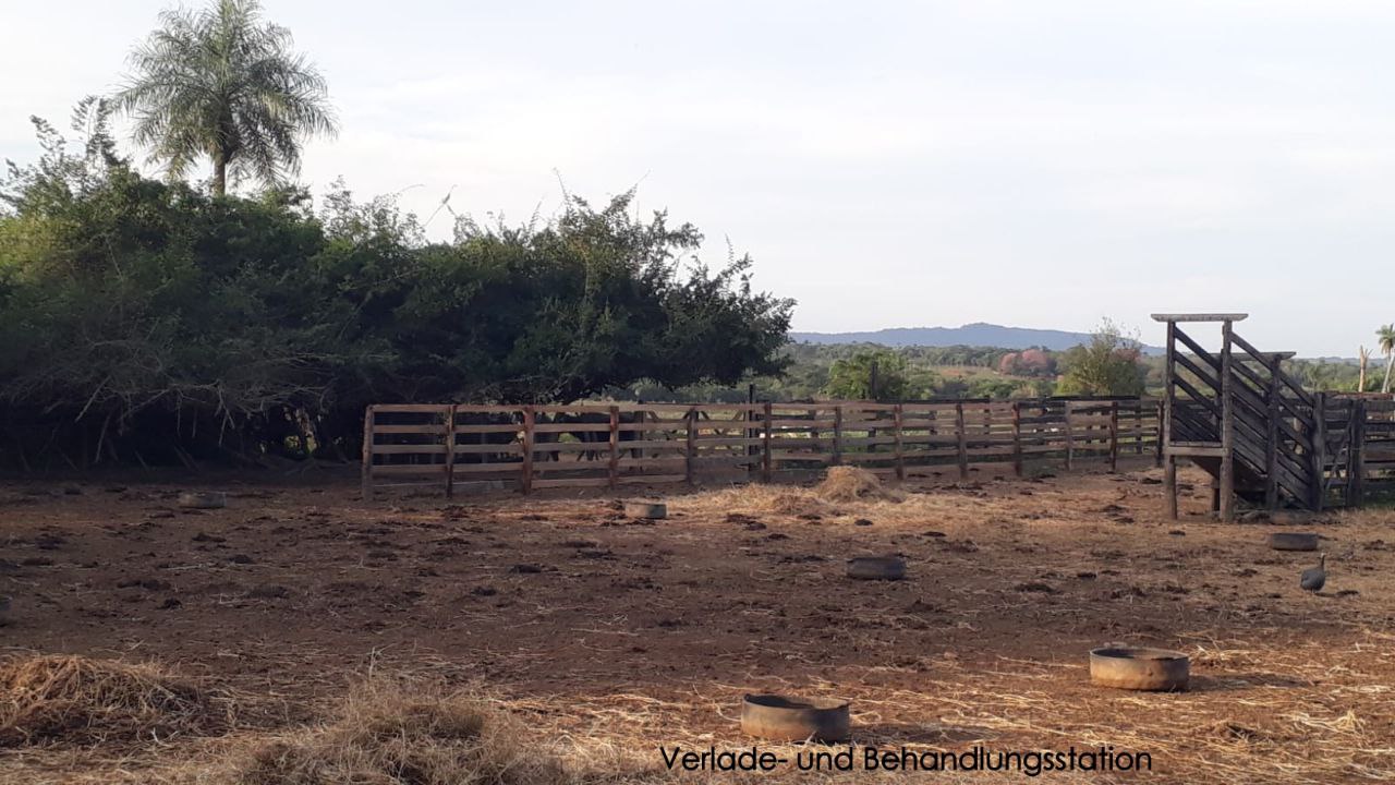 Grundstück kaufen in Paraguay (18)