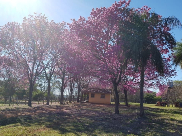 Comprar terras no Paraguai 3 1