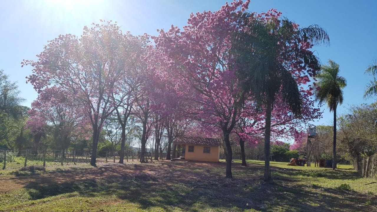Grundstück kaufen in Paraguay (3)