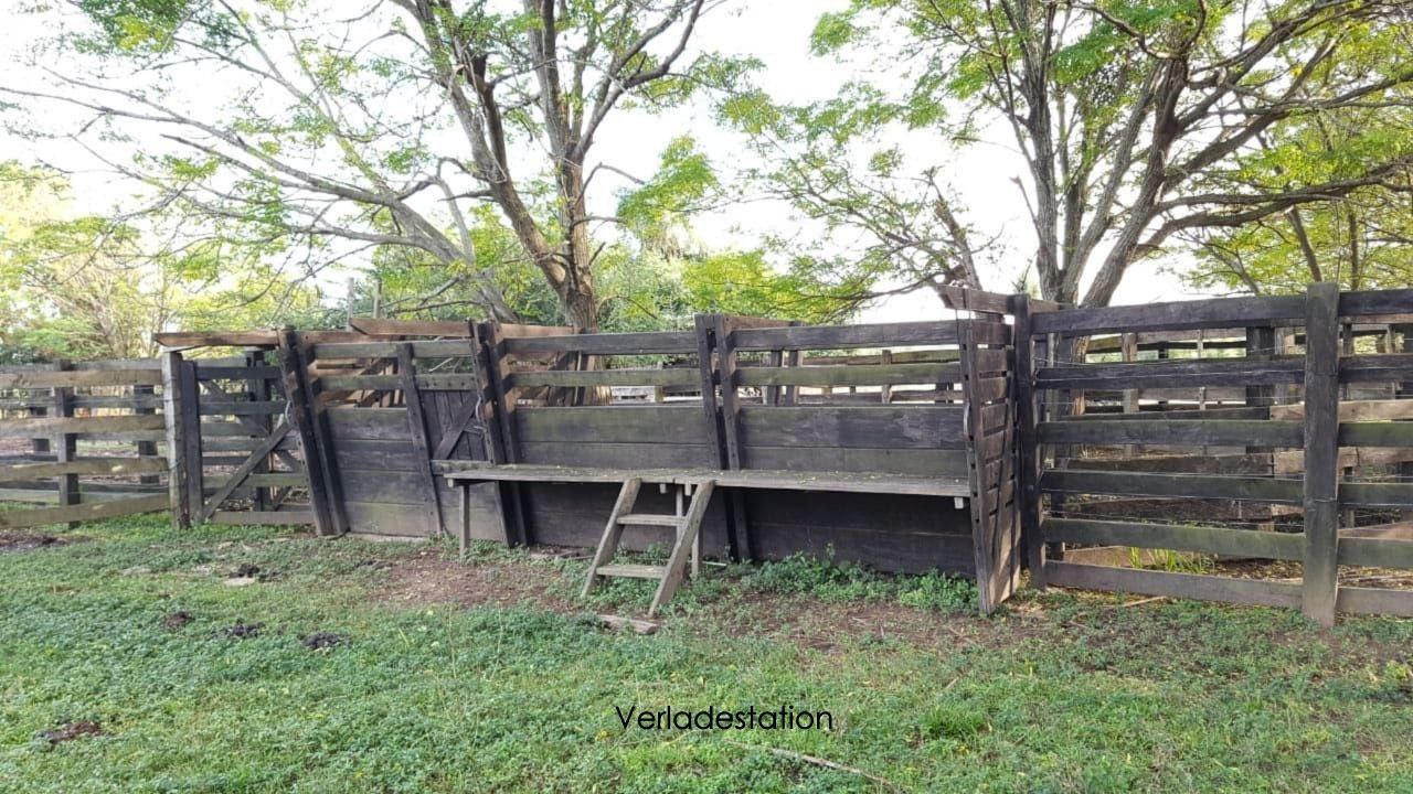 Grundstück kaufen in Paraguay (7)