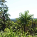 Comprar terra Paraguai 27
