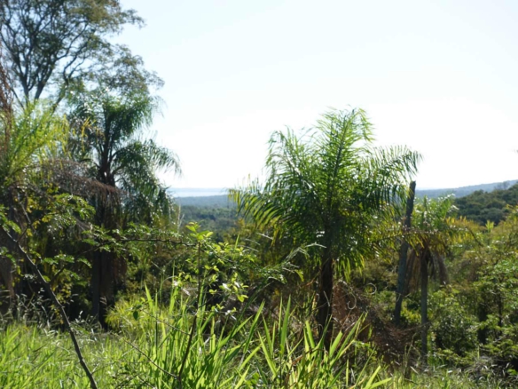 Comprar terra Paraguai 27